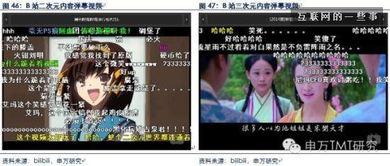 在线观看的a站视频,探索未知领域的精彩瞬间